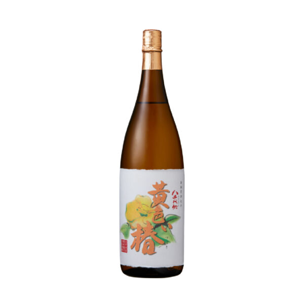 黄色い椿 720ml